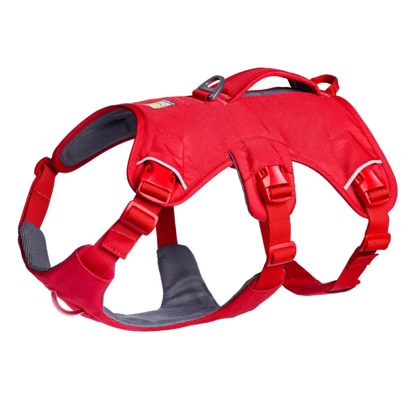 Ruffwear Web Master Harness Hundegeschirr – Ausbruchsicheres Premium-Sicherheitsgeschirr mit 4 Anpassungspunkten für maximale Kontrolle bei Wanderungen, Training & Alltag