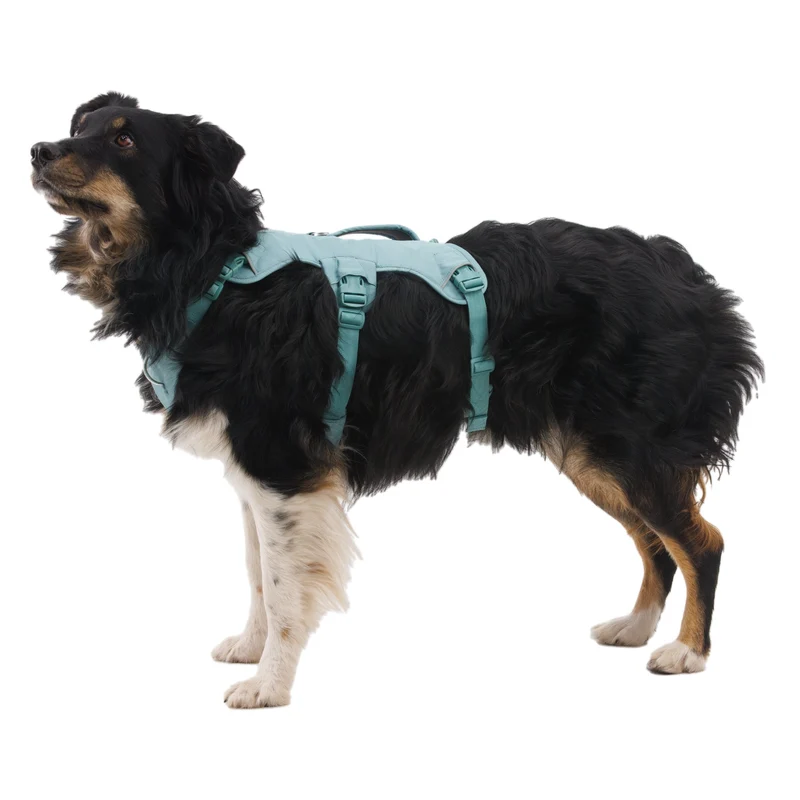 Ruffwear Web Master Harness Hundegeschirr – Ausbruchsicheres Premium-Sicherheitsgeschirr mit 4 Anpassungspunkten für maximale Kontrolle bei Wanderungen, Training & Alltag