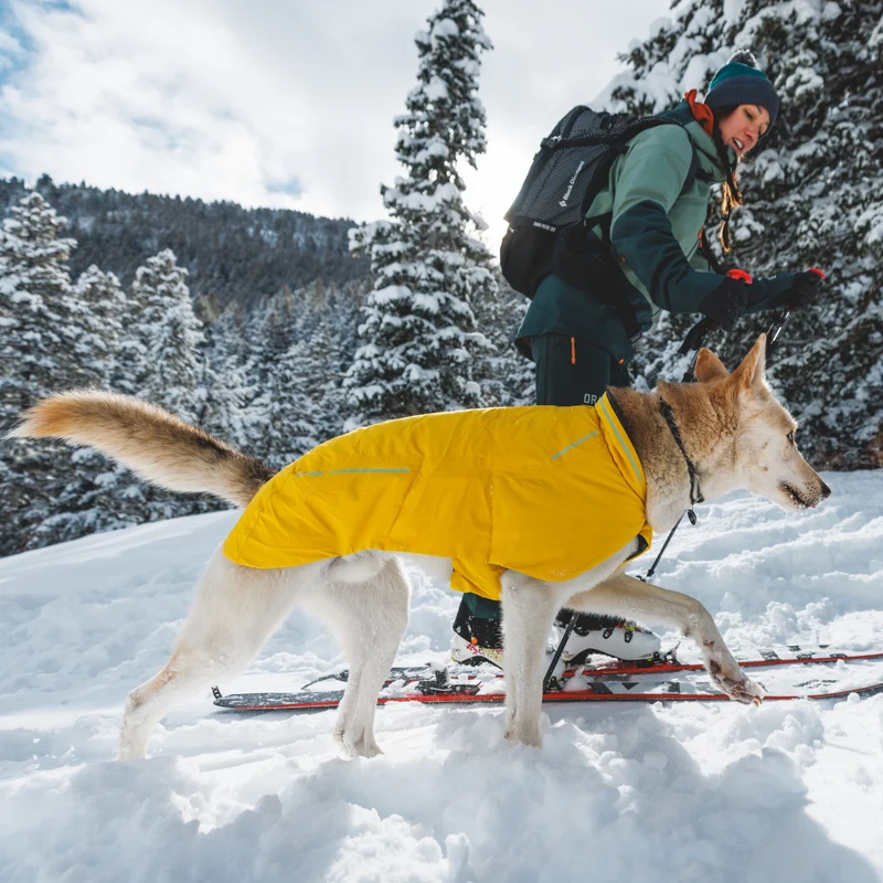Ruffwear Knot-a-Collar – Reflektierendes Premium-Hundehalsband aus robustem Kletterseil für aktive Hunde