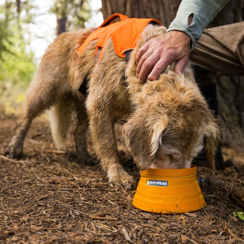 Ruffwear Bivy Bowl – Faltbarer, wasserdichter Hundenapf für Outdoor-Abenteuer, Wandern & Reisen | Platzsparend & Auslaufsicher