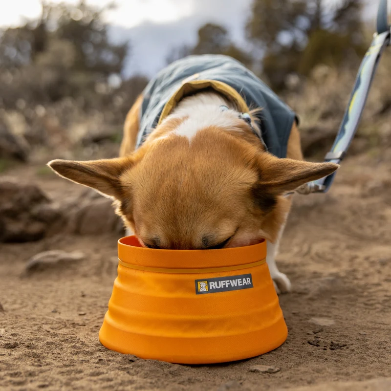 Ruffwear Bivy Bowl – Faltbarer, wasserdichter Hundenapf für Outdoor-Abenteuer, Wandern & Reisen | Platzsparend & Auslaufsicher