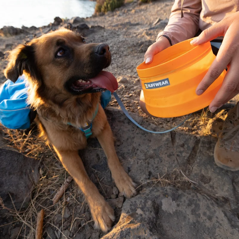 Ruffwear Bivy Bowl – Faltbarer, wasserdichter Hundenapf für Outdoor-Abenteuer, Wandern & Reisen | Platzsparend & Auslaufsicher