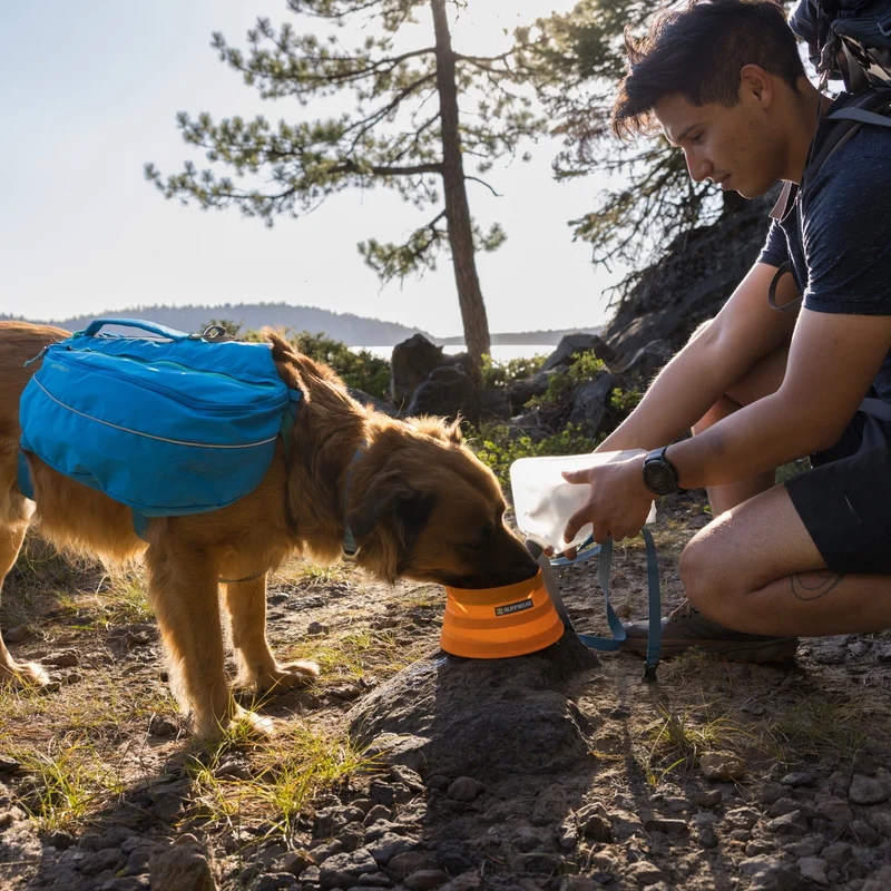 Ruffwear Bivy Bowl – Faltbarer, wasserdichter Hundenapf für Outdoor-Abenteuer, Wandern & Reisen | Platzsparend & Auslaufsicher