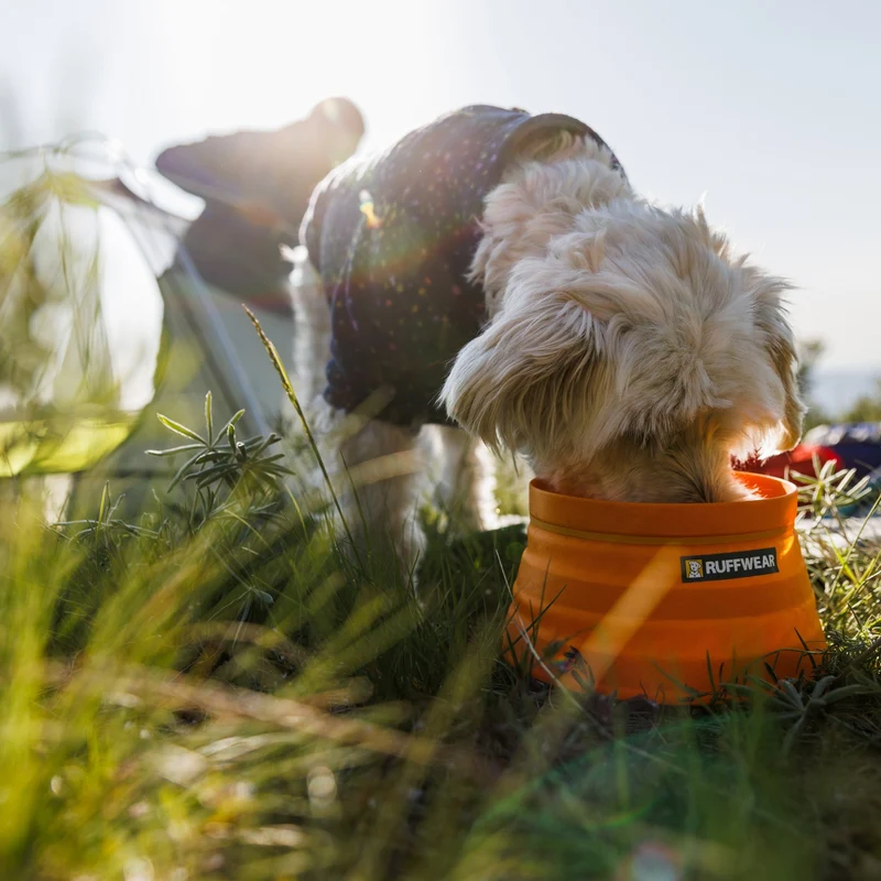 Ruffwear Bivy Bowl – Faltbarer, wasserdichter Hundenapf für Outdoor-Abenteuer, Wandern & Reisen | Platzsparend & Auslaufsicher