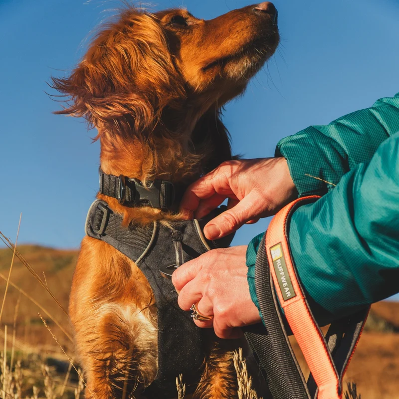 Ruffwear Front Range Leash - Premium Hundeleine mit gepolstertem Griff für maximale Kontrolle und Komfort bei jedem Abenteuer