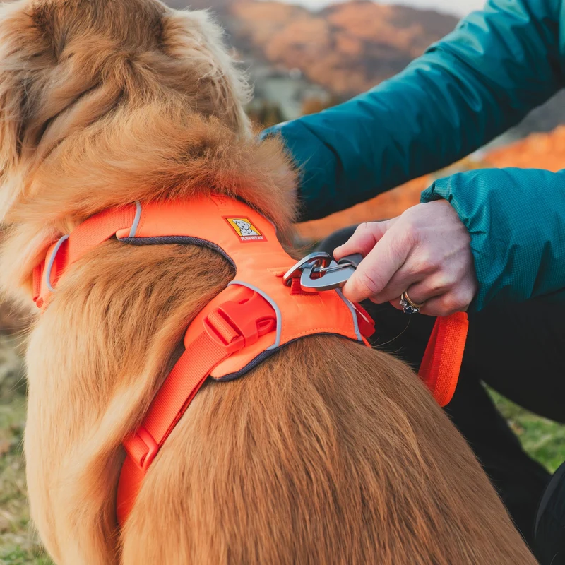 Ruffwear Front Range Leash - Premium Hundeleine mit gepolstertem Griff für maximale Kontrolle und Komfort bei jedem Abenteuer