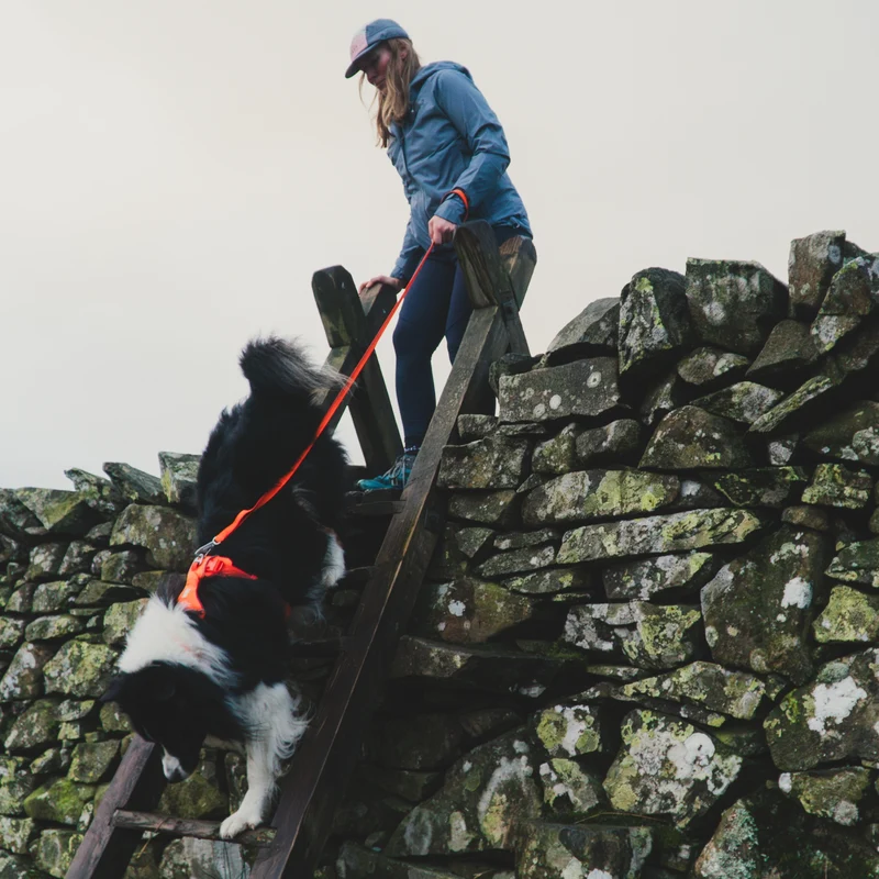 Ruffwear Front Range Leash - Premium Hundeleine mit gepolstertem Griff für maximale Kontrolle und Komfort bei jedem Abenteuer