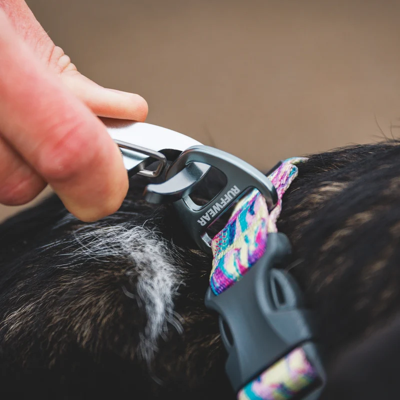 Ruffwear Front Range Leash - Premium Hundeleine mit gepolstertem Griff für maximale Kontrolle und Komfort bei jedem Abenteuer