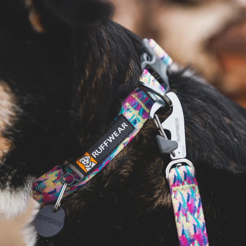 Ruffwear Front Range Leash - Premium Hundeleine mit gepolstertem Griff für maximale Kontrolle und Komfort bei jedem Abenteuer