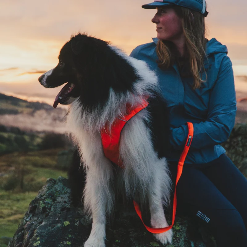 Ruffwear Front Range Leash - Premium Hundeleine mit gepolstertem Griff für maximale Kontrolle und Komfort bei jedem Abenteuer