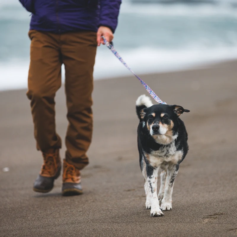 Ruffwear Front Range Leash - Premium Hundeleine mit gepolstertem Griff für maximale Kontrolle und Komfort bei jedem Abenteuer