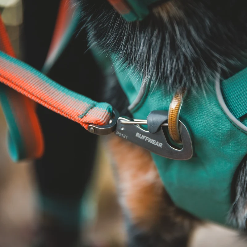 Ruffwear Front Range Leash - Premium Hundeleine mit gepolstertem Griff für maximale Kontrolle und Komfort bei jedem Abenteuer