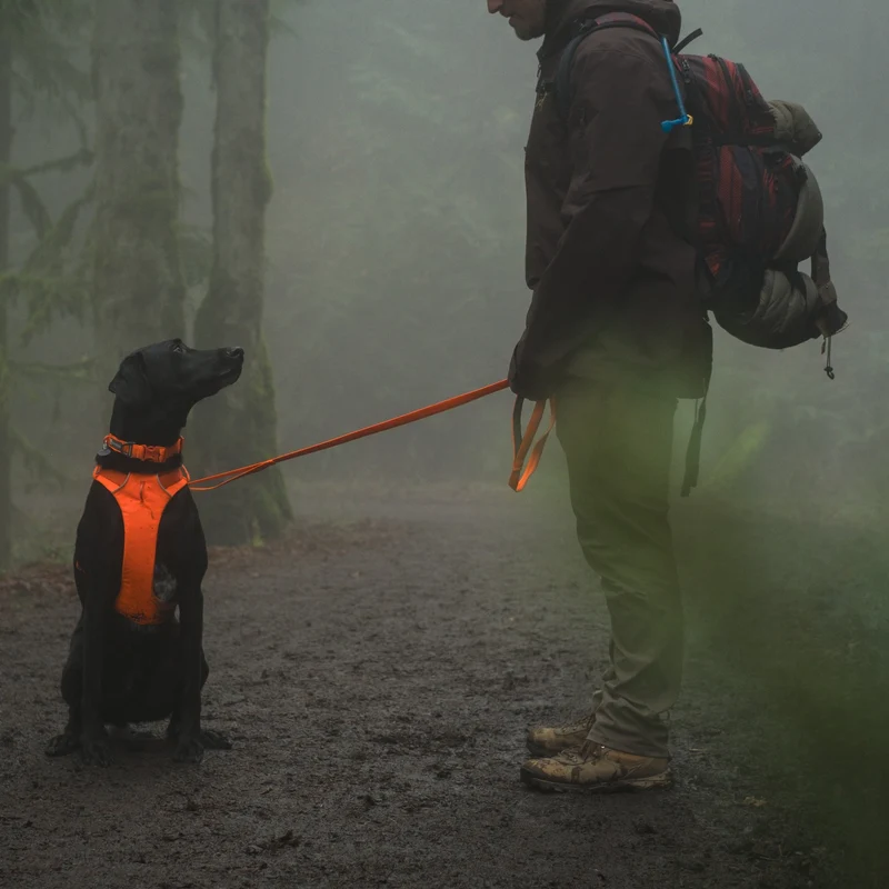 Ruffwear Front Range Leash - Premium Hundeleine mit gepolstertem Griff für maximale Kontrolle und Komfort bei jedem Abenteuer