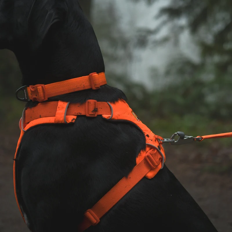 Ruffwear Front Range Leash - Premium Hundeleine mit gepolstertem Griff für maximale Kontrolle und Komfort bei jedem Abenteuer
