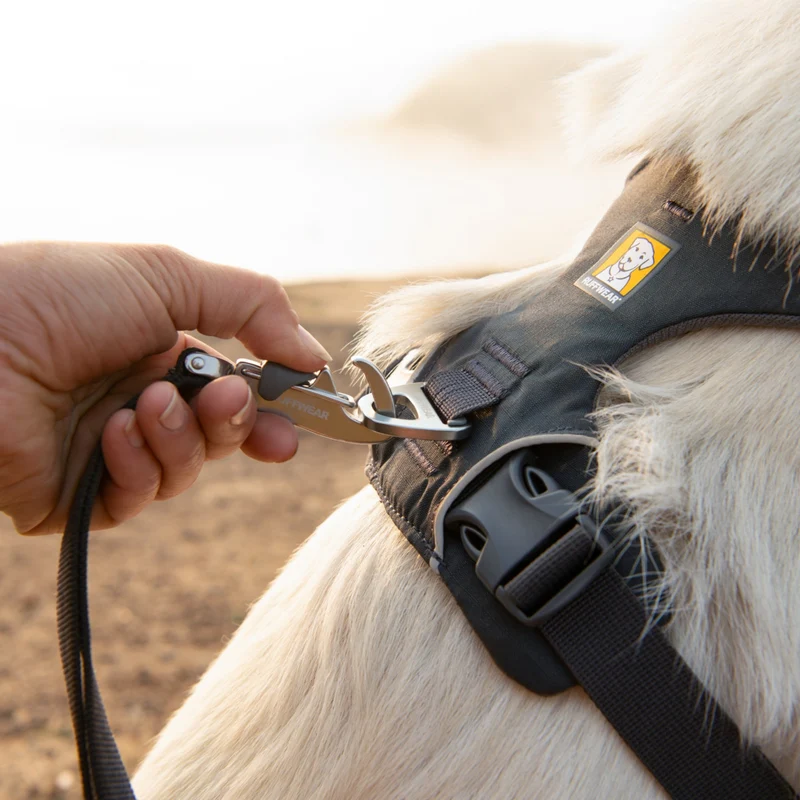Ruffwear Front Range Leash - Premium Hundeleine mit gepolstertem Griff für maximale Kontrolle und Komfort bei jedem Abenteuer
