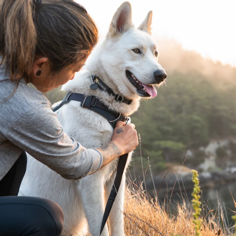 Ruffwear Front Range Leash - Premium Hundeleine mit gepolstertem Griff für maximale Kontrolle und Komfort bei jedem Abenteuer