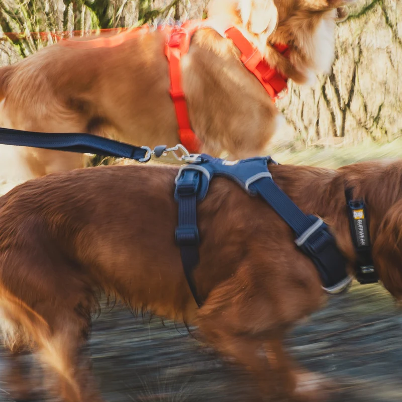 Ruffwear Front Range Leash - Premium Hundeleine mit gepolstertem Griff für maximale Kontrolle und Komfort bei jedem Abenteuer