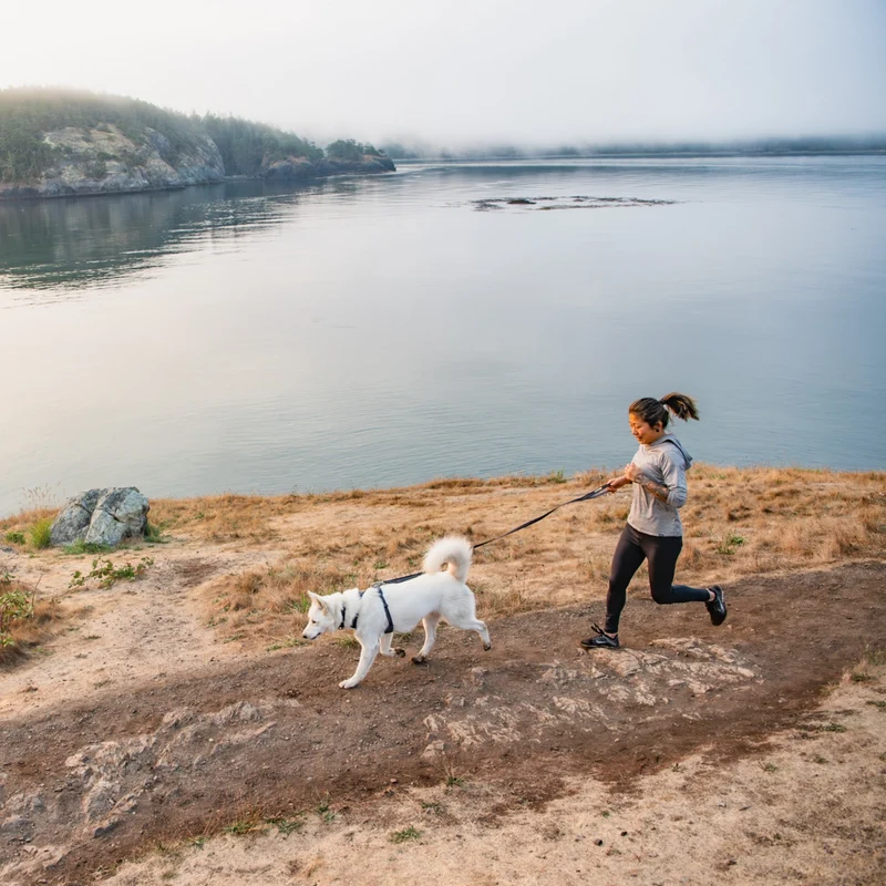 Ruffwear Front Range Leash - Premium Hundeleine mit gepolstertem Griff für maximale Kontrolle und Komfort bei jedem Abenteuer