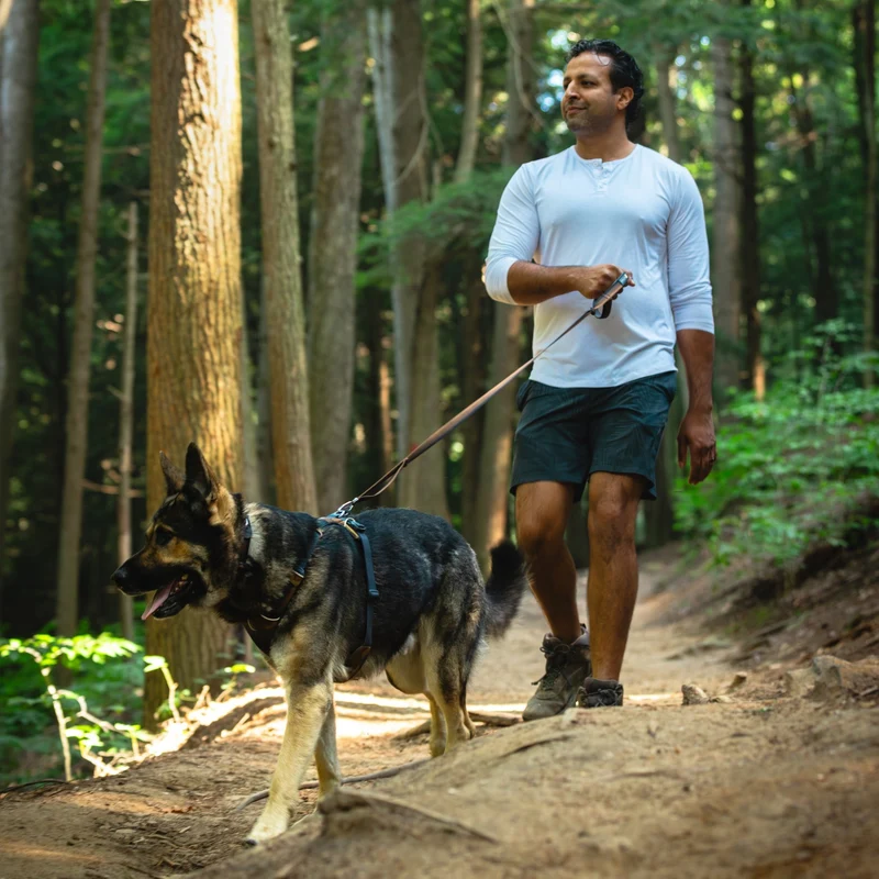 Ruffwear Front Range Leash - Premium Hundeleine mit gepolstertem Griff für maximale Kontrolle und Komfort bei jedem Abenteuer