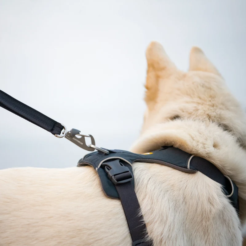 Ruffwear Front Range Harness – Premium Hundegeschirr mit Brustring gegen Ziehen, gepolstert für maximalen Komfort bei Spaziergängen & Outdoor-Abenteuern