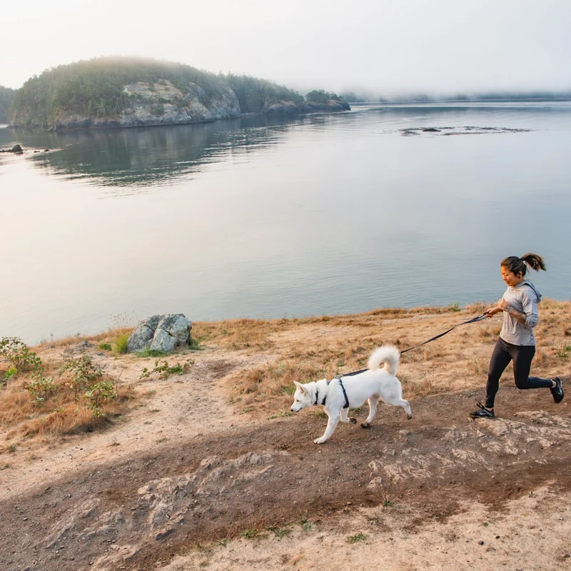 Ruffwear Front Range Harness – Premium Hundegeschirr mit Brustring gegen Ziehen, gepolstert für maximalen Komfort bei Spaziergängen & Outdoor-Abenteuern