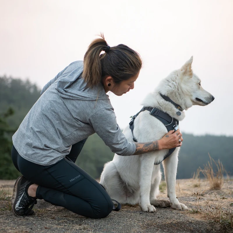 Ruffwear Front Range Harness – Premium Hundegeschirr mit Brustring gegen Ziehen, gepolstert für maximalen Komfort bei Spaziergängen & Outdoor-Abenteuern
