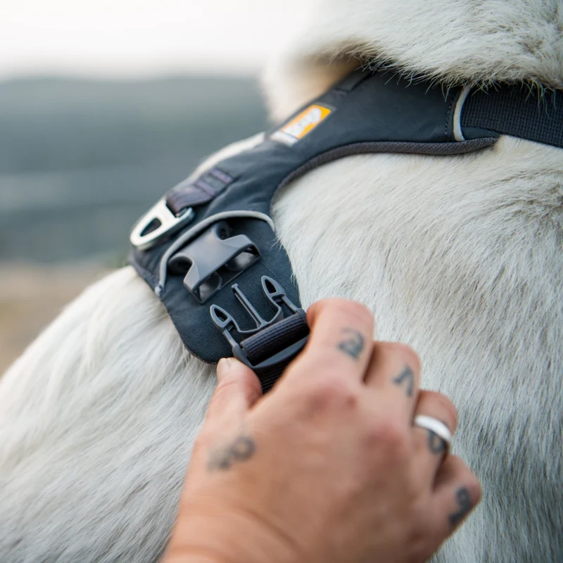 Ruffwear Front Range Harness – Premium Hundegeschirr mit Brustring gegen Ziehen, gepolstert für maximalen Komfort bei Spaziergängen & Outdoor-Abenteuern