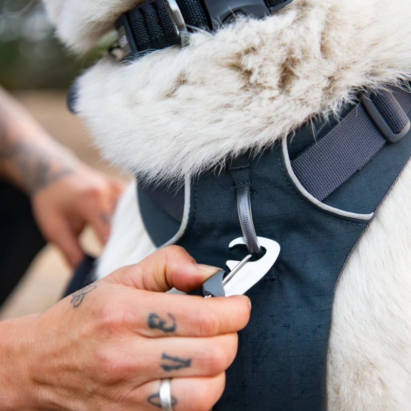 Ruffwear Front Range Harness – Premium Hundegeschirr mit Brustring gegen Ziehen, gepolstert für maximalen Komfort bei Spaziergängen & Outdoor-Abenteuern