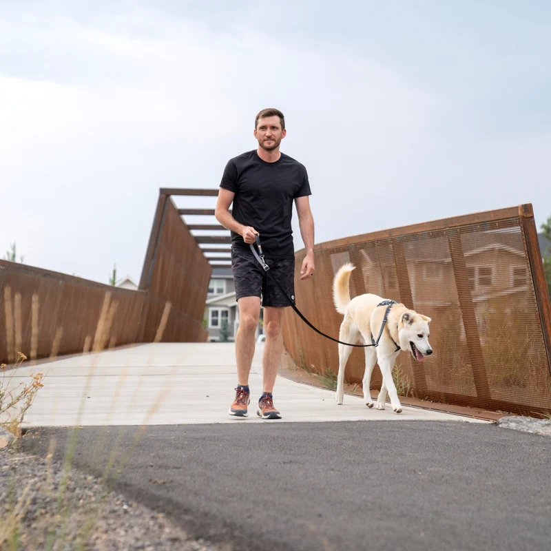Ruffwear Front Range Harness – Premium Hundegeschirr mit Brustring gegen Ziehen, gepolstert für maximalen Komfort bei Spaziergängen & Outdoor-Abenteuern