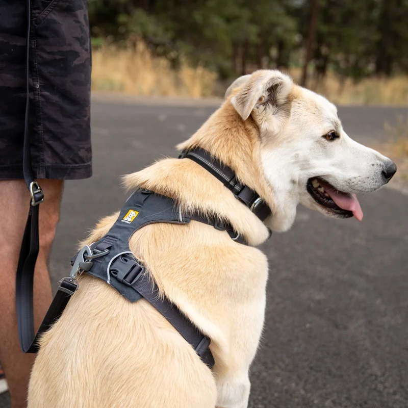 Ruffwear Front Range Harness – Premium Hundegeschirr mit Brustring gegen Ziehen, gepolstert für maximalen Komfort bei Spaziergängen & Outdoor-Abenteuern