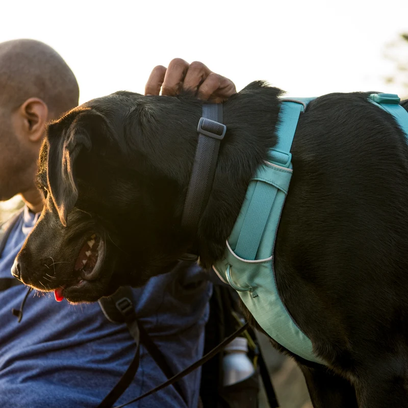 Ruffwear Front Range Harness – Premium Hundegeschirr mit Brustring gegen Ziehen, gepolstert für maximalen Komfort bei Spaziergängen & Outdoor-Abenteuern