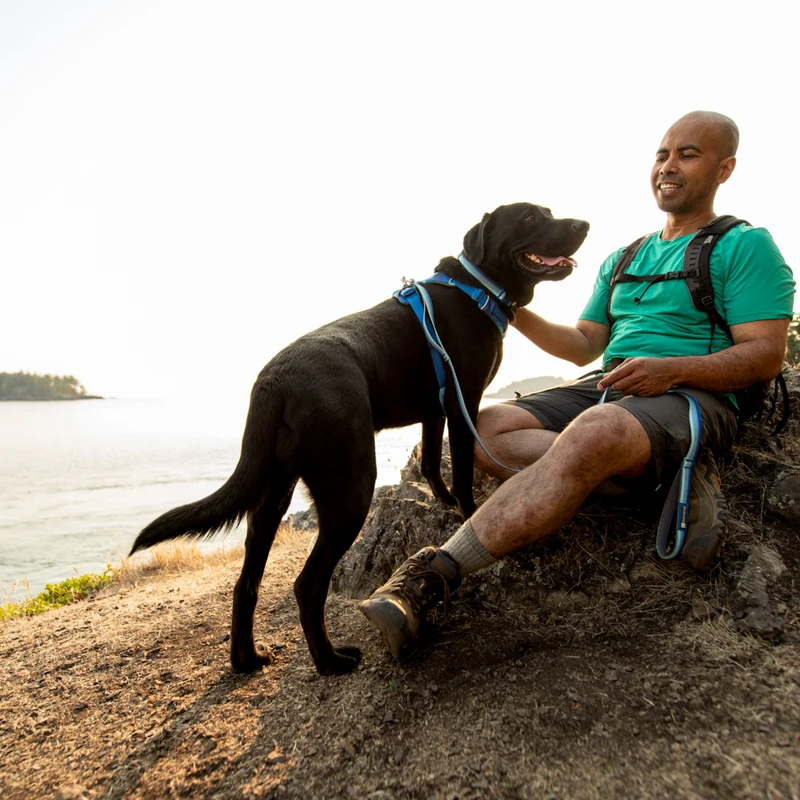 Ruffwear Front Range Harness – Premium Hundegeschirr mit Brustring gegen Ziehen, gepolstert für maximalen Komfort bei Spaziergängen & Outdoor-Abenteuern