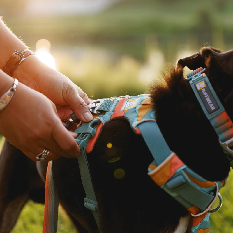 Ruffwear Front Range Harness – Premium Hundegeschirr mit Brustring gegen Ziehen, gepolstert für maximalen Komfort bei Spaziergängen & Outdoor-Abenteuern