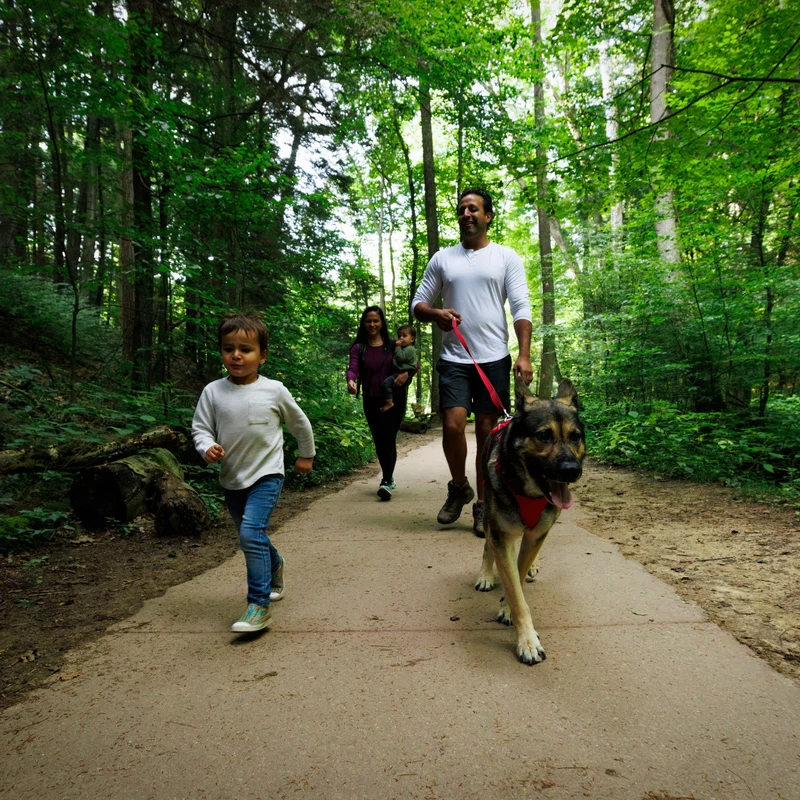 Ruffwear Front Range Harness – Premium Hundegeschirr mit Brustring gegen Ziehen, gepolstert für maximalen Komfort bei Spaziergängen & Outdoor-Abenteuern