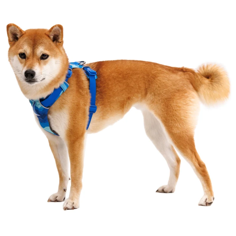 Ruffwear Front Range Harness – Premium Hundegeschirr mit Brustring gegen Ziehen, gepolstert für maximalen Komfort bei Spaziergängen & Outdoor-Abenteuern