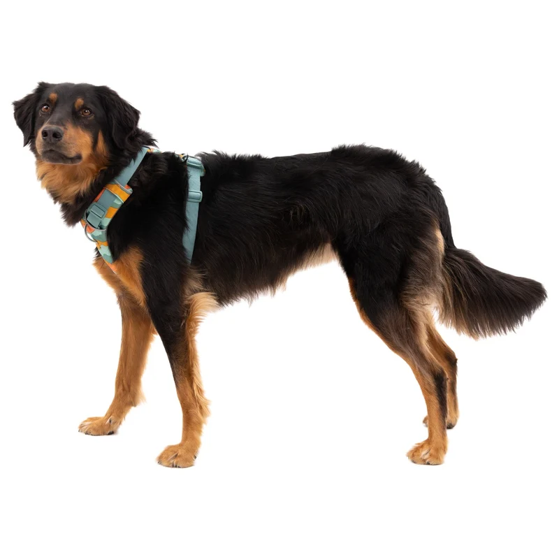 Ruffwear Front Range Harness – Premium Hundegeschirr mit Brustring gegen Ziehen, gepolstert für maximalen Komfort bei Spaziergängen & Outdoor-Abenteuern