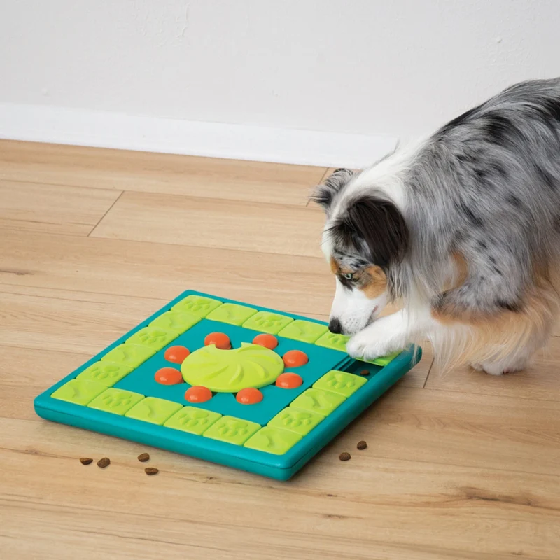 Nina Ottosson MultiPuzzle Level 4 – Premium Intelligenzspielzeug gegen Langeweile, Stress & Zerstörungsdrang