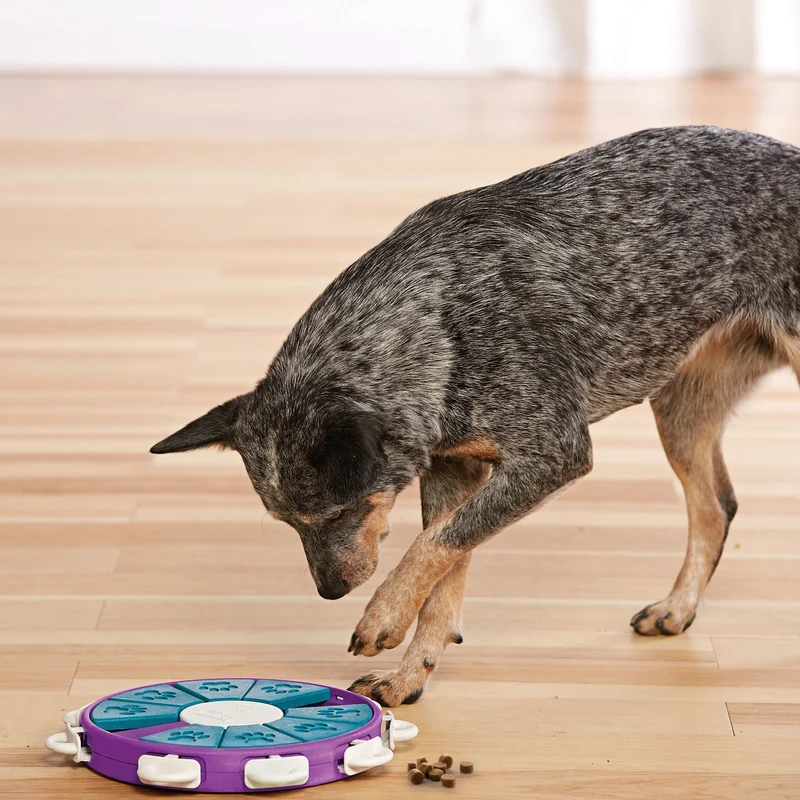 Nina Ottosson Dog Twister – Interaktives Intelligenzspielzeug gegen Langeweile & Unterforderung (Level 3)