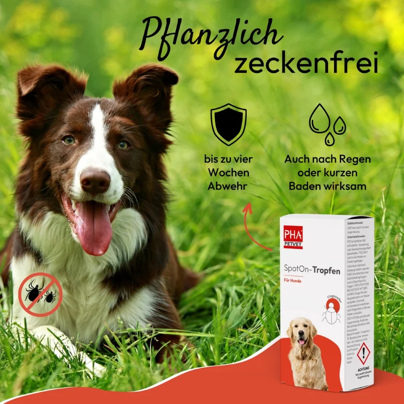 PHA Spot-onTropfen für Hunde 2 x 2 ml - 3 Stück