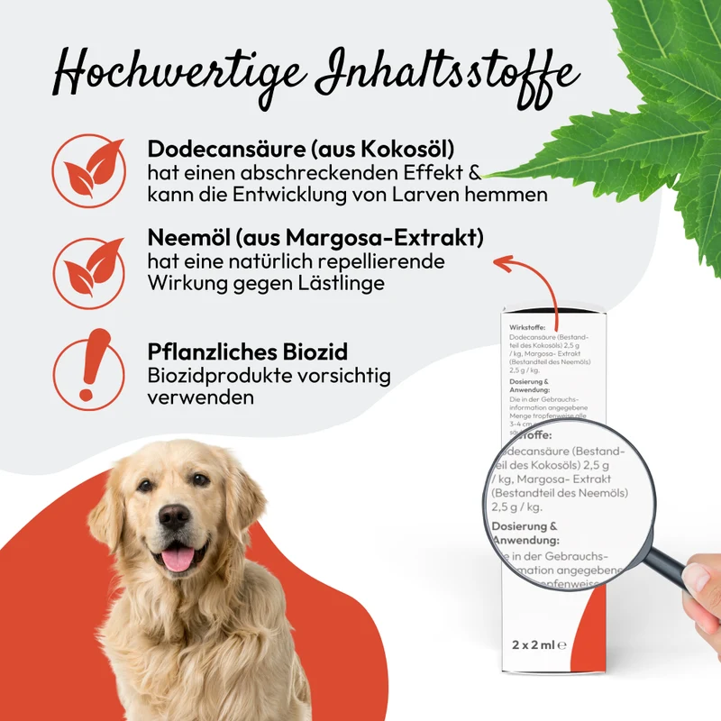 PHA Spot-onTropfen für Hunde 2 x 2 ml - 3 Stück