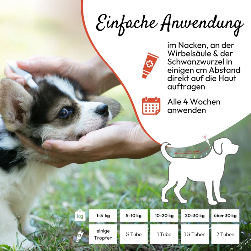 PHA Spot-onTropfen für Hunde 2 x 2 ml - 3 Stück
