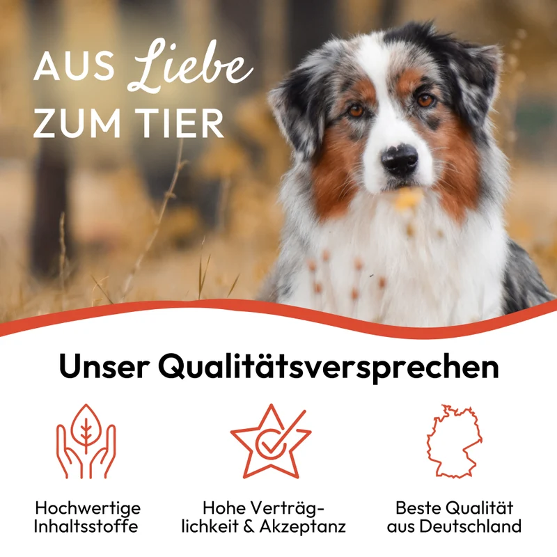 PHA Spot-onTropfen für Hunde 2 x 2 ml - 3 Stück