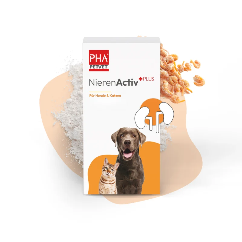PHA NierenActiv PLUS für Hunde und Katzen 60 g