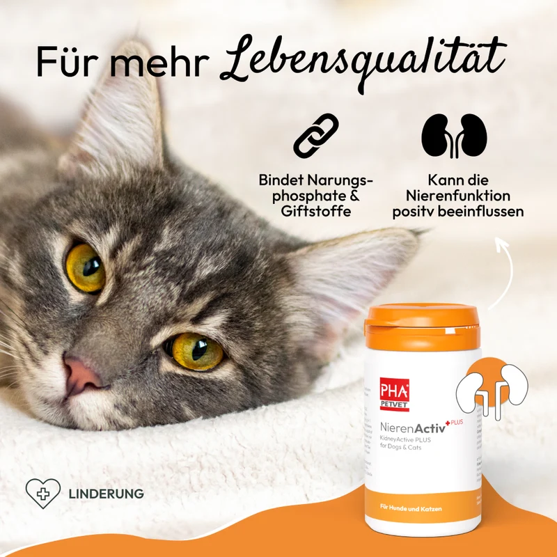 PHA NierenActiv PLUS für Hunde und Katzen 60 g