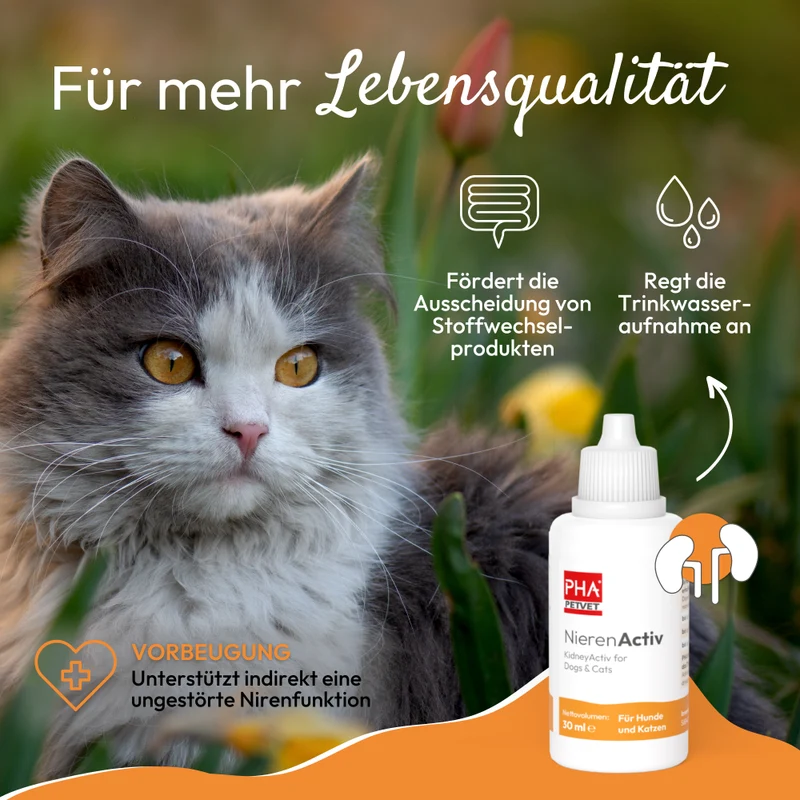 PHA NierenActiv für Hunde und Katzen 30 ml
