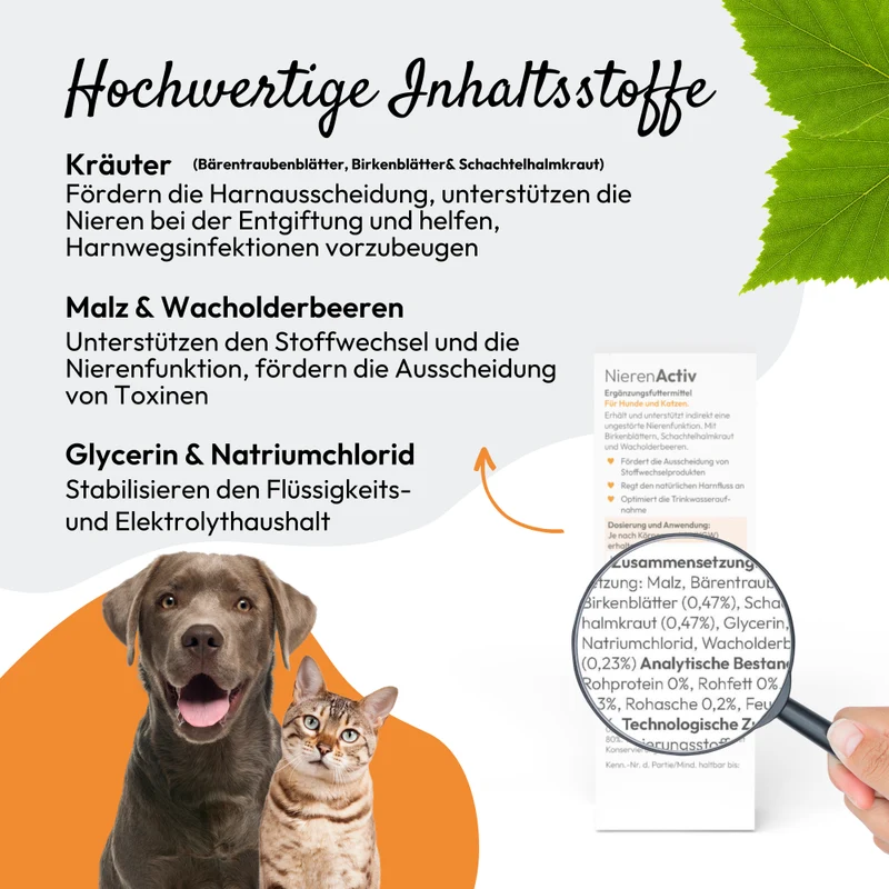 PHA NierenActiv für Hunde und Katzen 30 ml