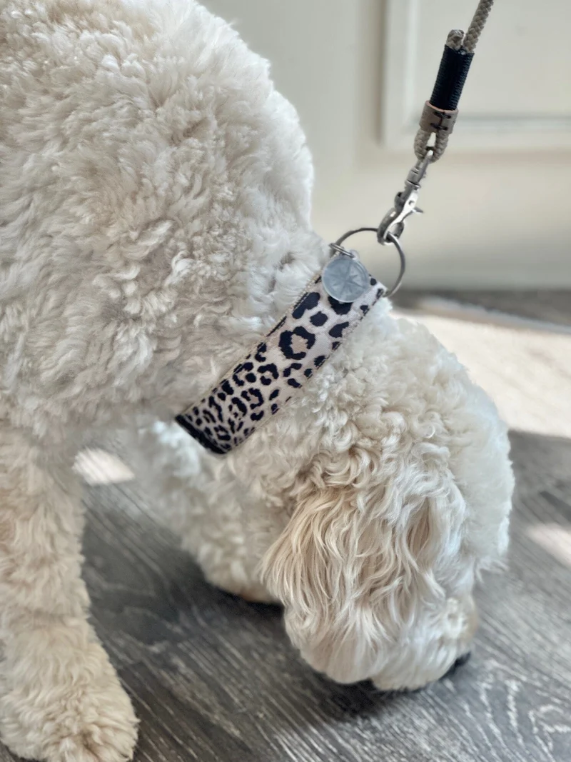 SALTYDOG | Halsband Leopard | PURE
