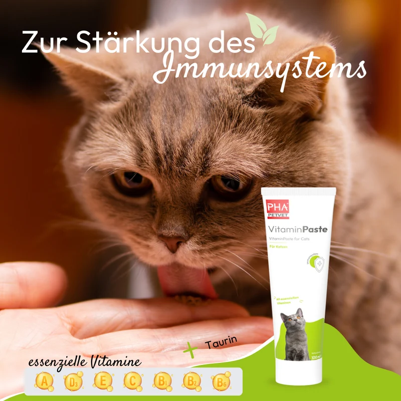 PHA VitaminPaste für Katzen - 100 ml - 5 Stück
