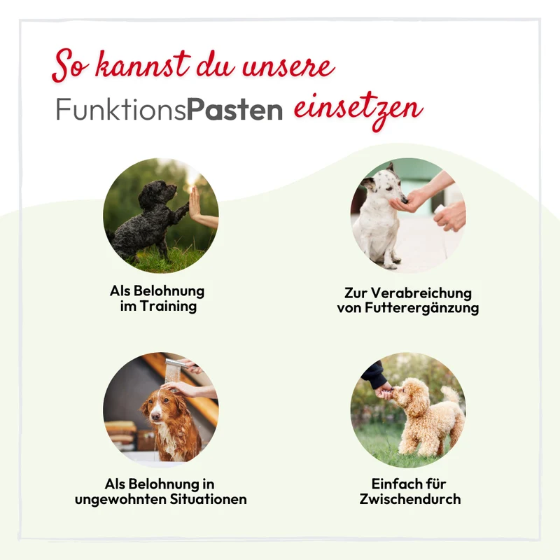 PHA VitaminPaste für Katzen - 100 ml - 5 Stück