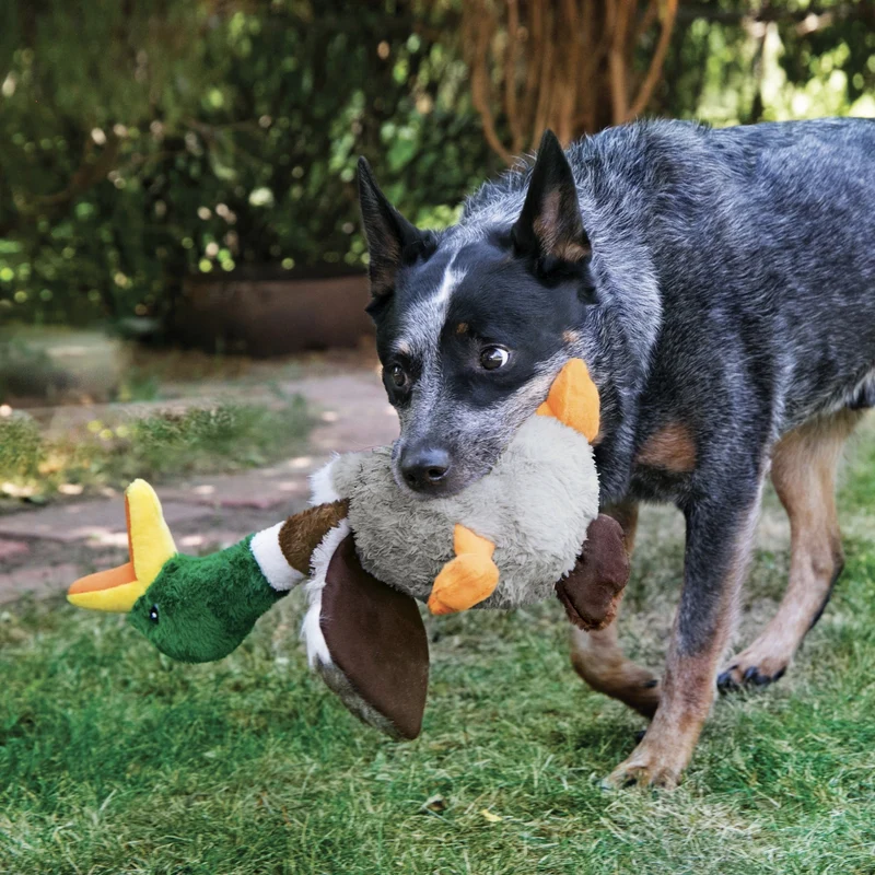 KONG Shakers Honkers Flamingo – Interaktives Plüsch-Hundespielzeug mit Quietscher & Raschel-Flügeln für aktive Hunde